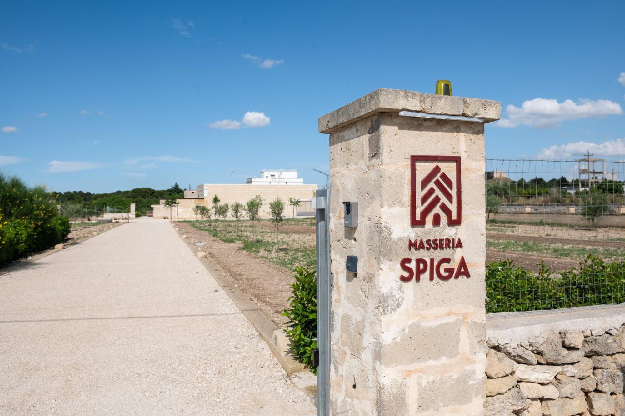גרבינה אין פוליה Masseria Spiga מראה חיצוני תמונה