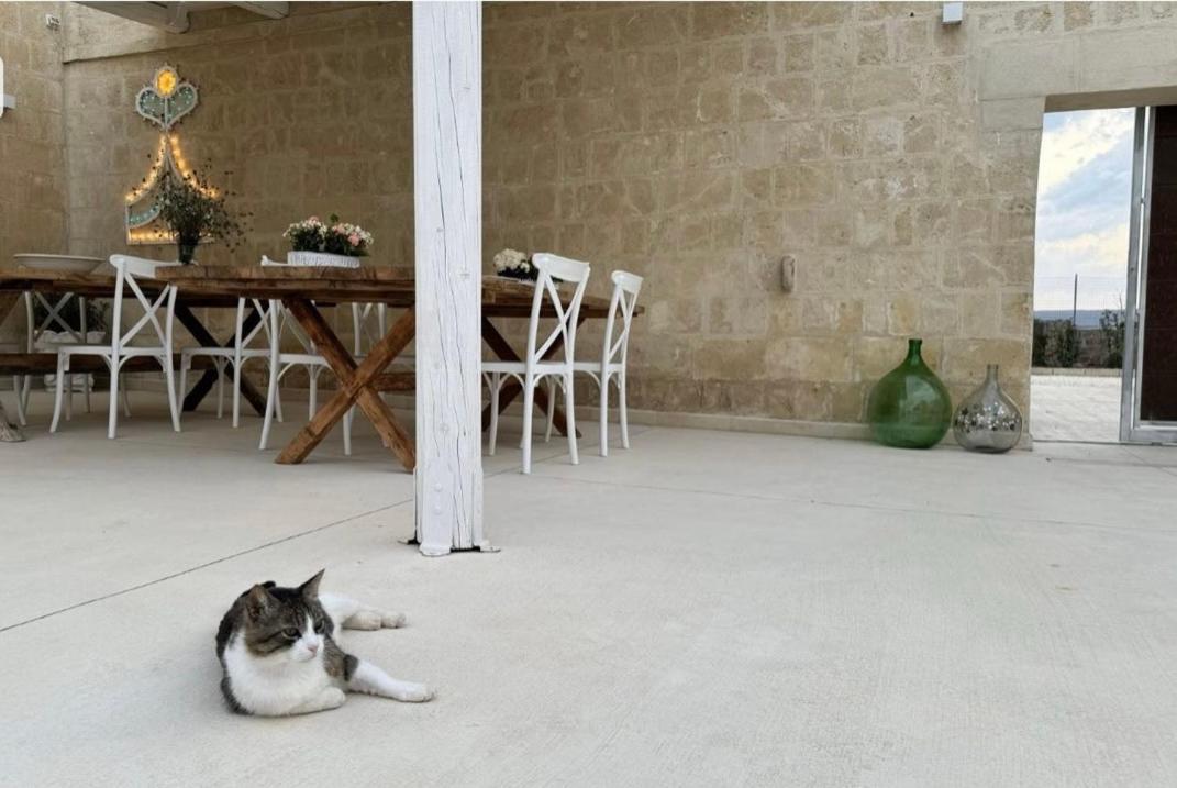 גרבינה אין פוליה Masseria Spiga מראה חיצוני תמונה